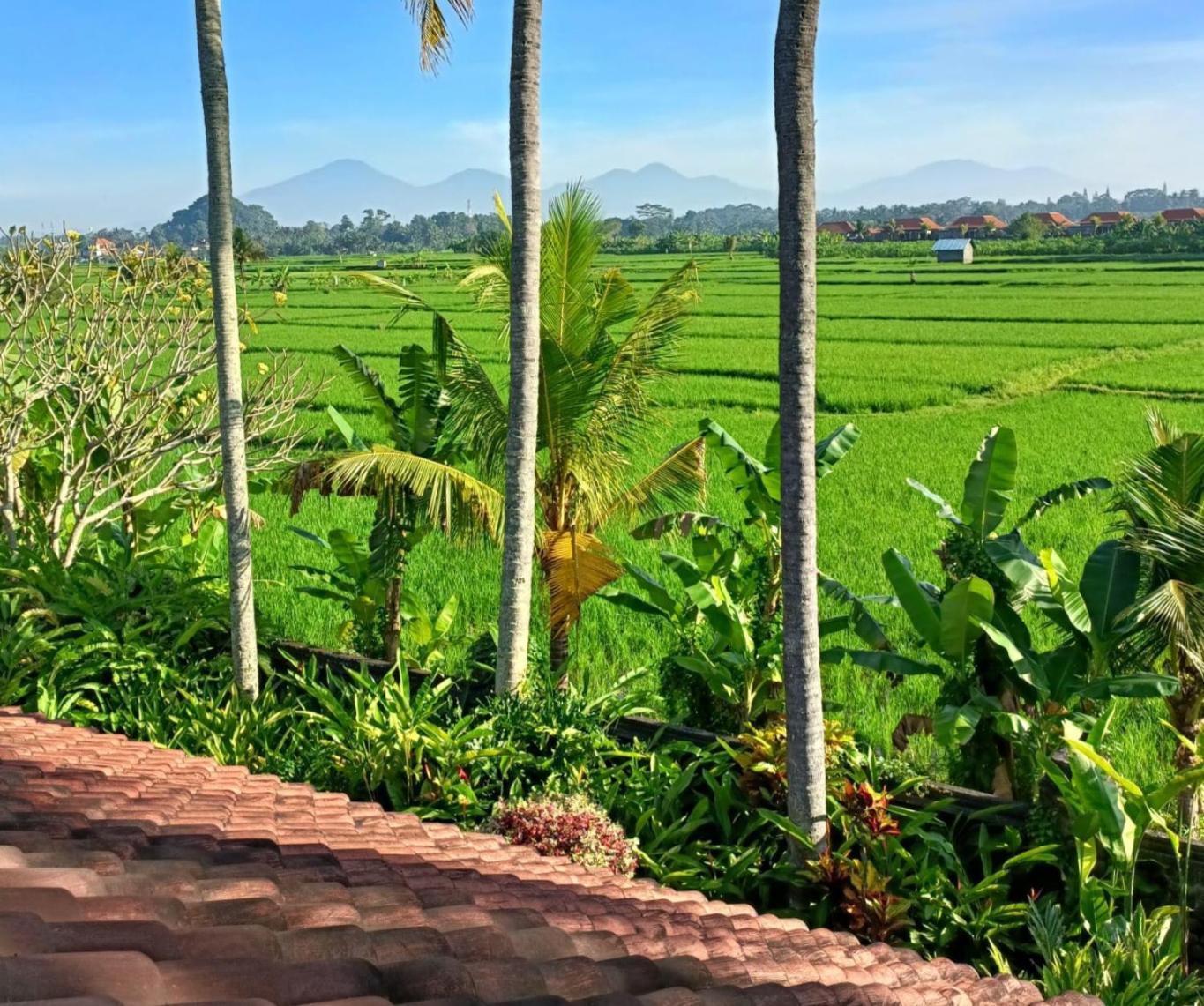 Runa House Of Design Ubud